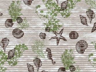 Csúszásgátló habszivacs fürdőszoba szőnyeg 65 Aqua Mat 4092-3 rolls