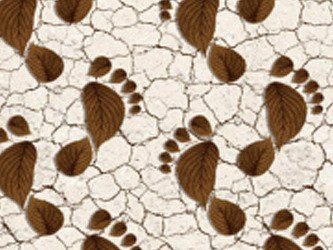 Csúszásgátló habszivacs fürdőszoba szőnyeg 65 Aqua Flex 6019-2 rolls