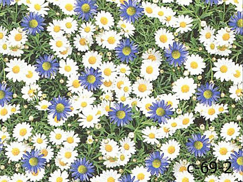 Viaszosvászon Terítő Tekercsben Fantastik C69-2