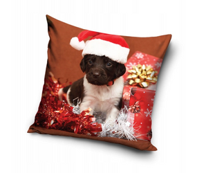 Dekoratív karácsonyi párnahuzatok karácsonyi Mikulás PNL237037 40x40 cm